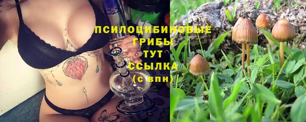 твердый Балахна