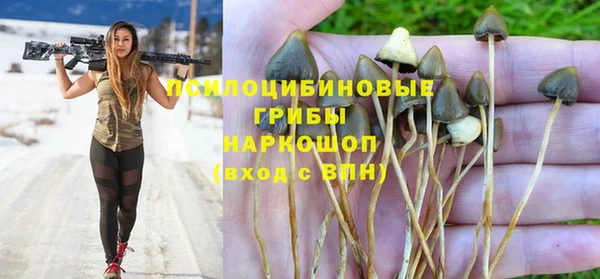 ECSTASY Баксан